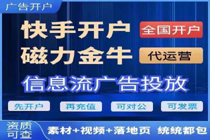 网络推广与竞价广告：双管齐下的策略案例